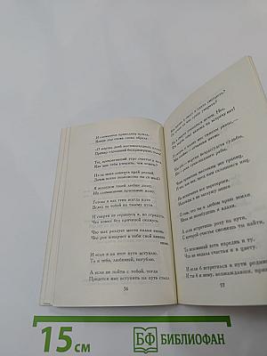 Бедиль. Поэзия. Комедия и Модан