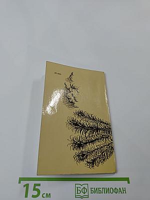 Бедиль. Поэзия. Комедия и Модан