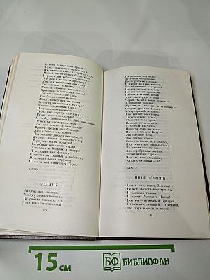 Стихотворения. Поэмы