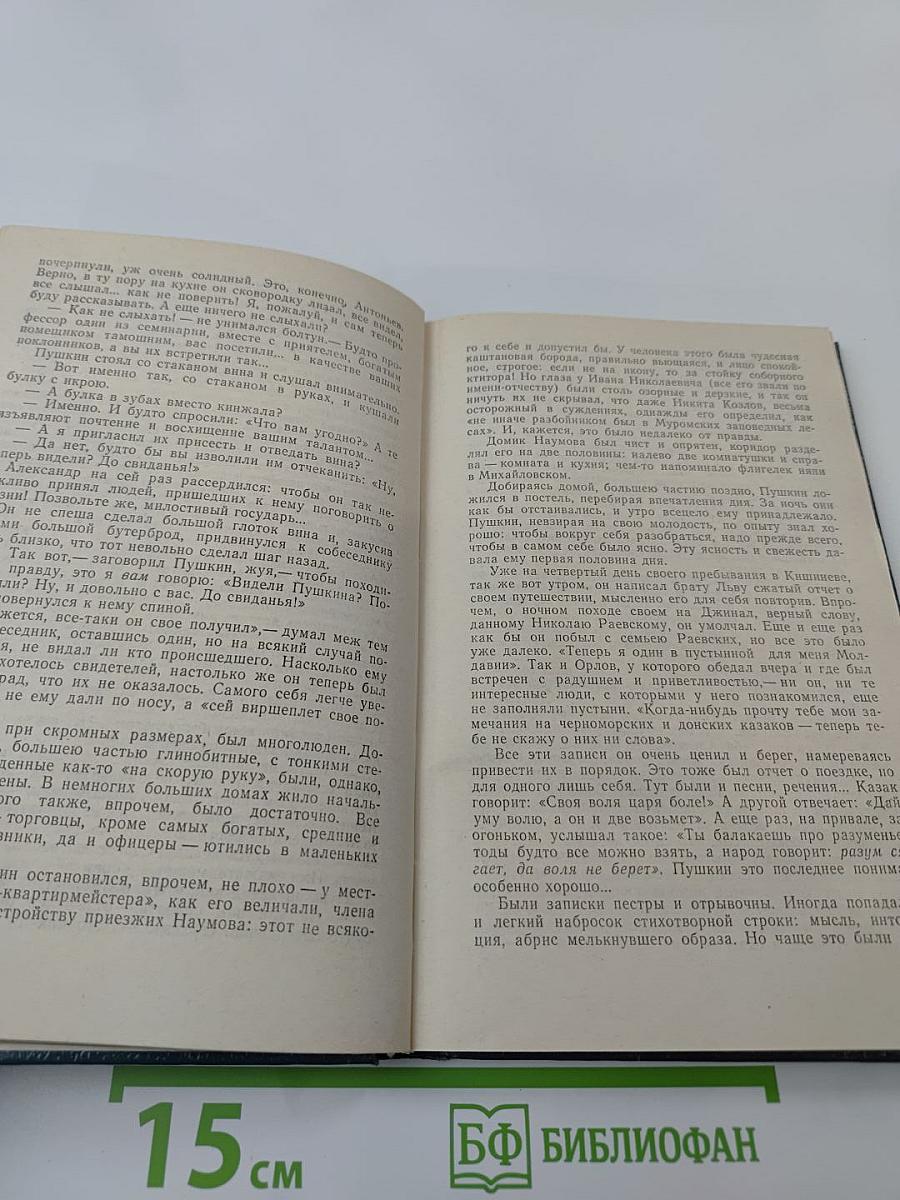 Пушкин на юге