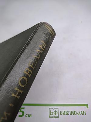 Франко Саккетти. Новеллы