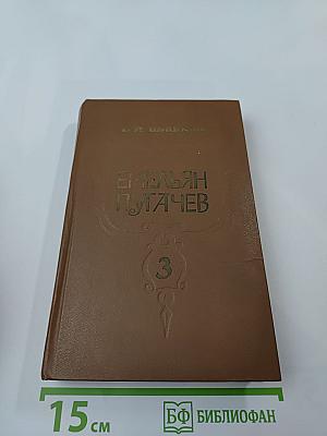 Емельян Пугачев. Книга 3
