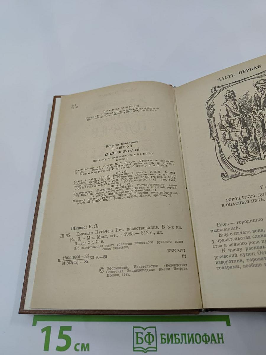 Емельян Пугачев. Книга 3