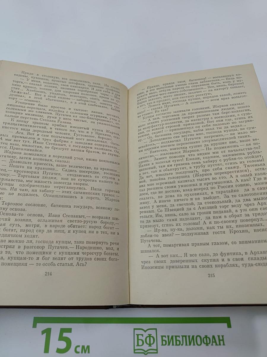 Емельян Пугачев. Книга 3