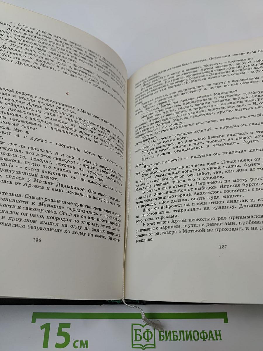 Строговы. Роман в двух книгах. Книга вторая