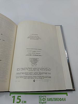 Строгий, стройный вид...