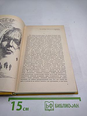 Только одна пуля