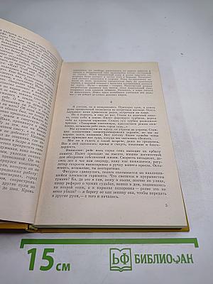 Только одна пуля