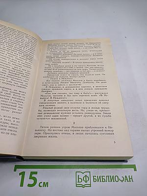 Каменный пояс. Книга вторая. Наследники