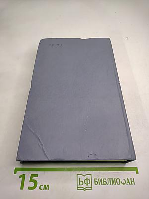 Каменный пояс. Книга вторая. Наследники