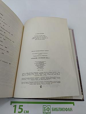 Строгий, стройный вид...