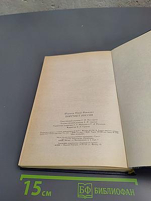 Поручает Россия