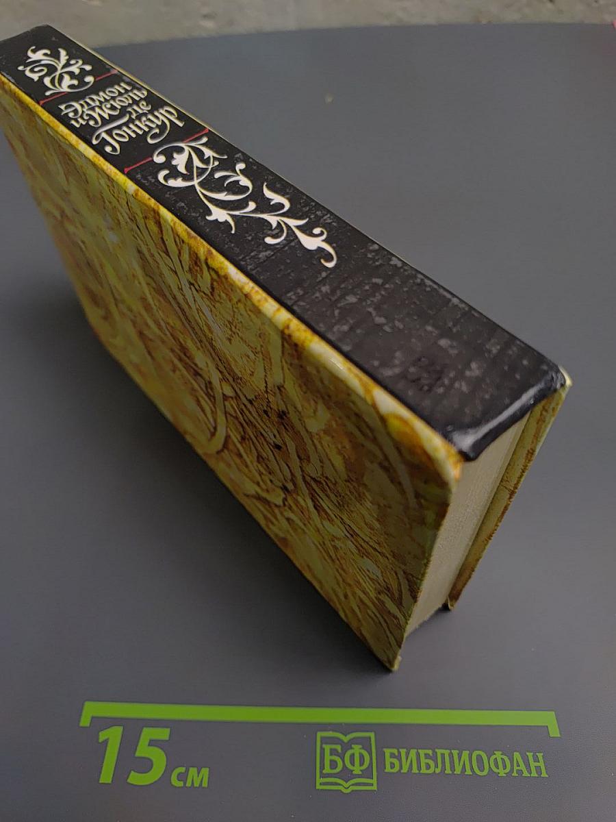 Жермини Ласерте, Актриса Фостэн, Отрывки из "Дневника"