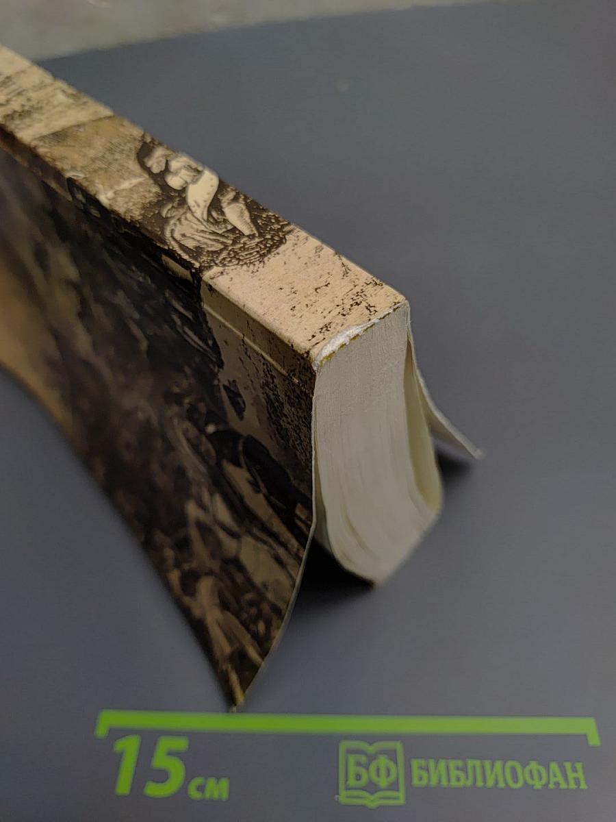 Последний новик