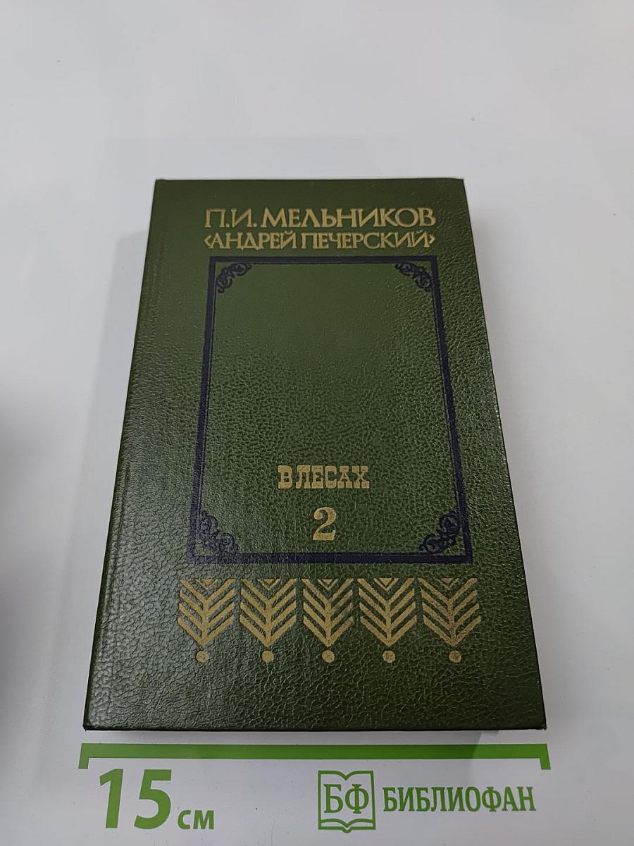 В лесах. Книга вторая