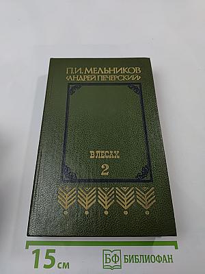 В лесах. Книга вторая