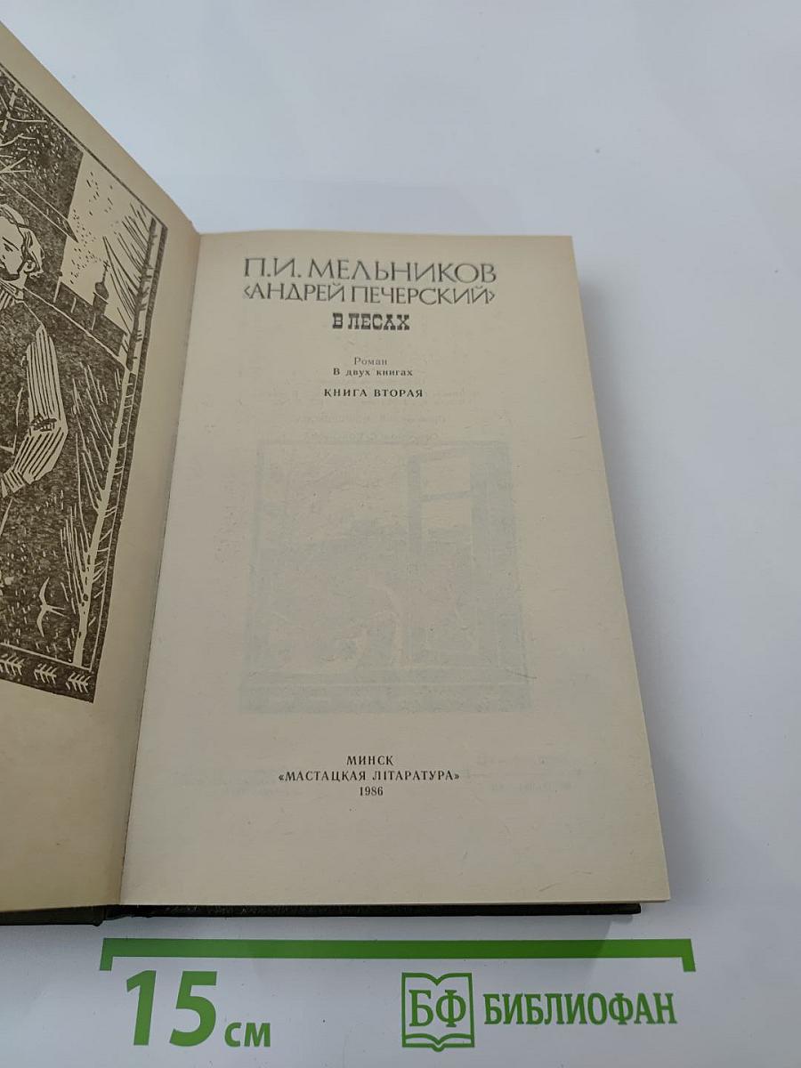 В лесах. Книга вторая