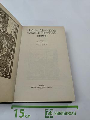 В лесах. Книга вторая