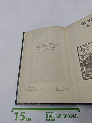 В лесах. Книга вторая