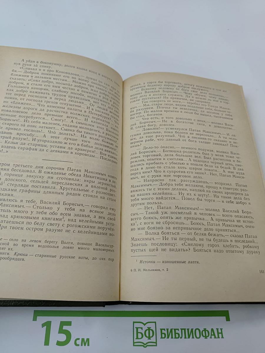 В лесах. Книга вторая