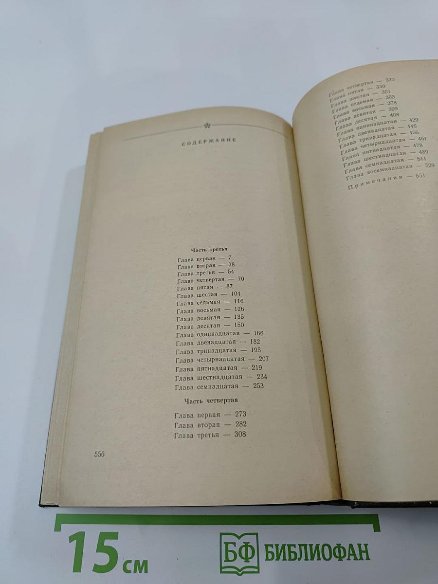 В лесах. Книга вторая