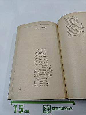 В лесах. Книга вторая
