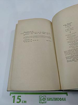 В лесах. Книга вторая