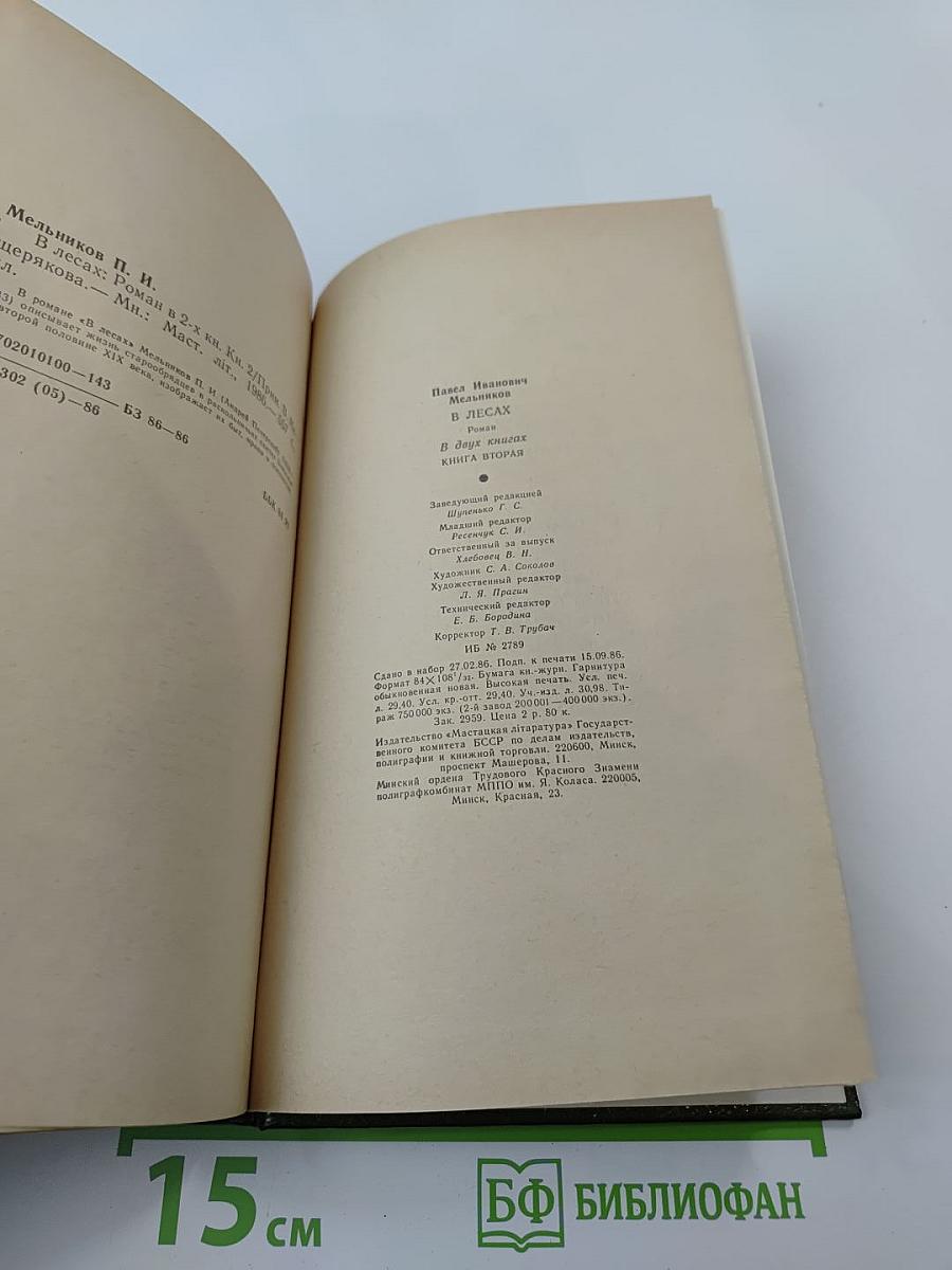 В лесах. Книга вторая