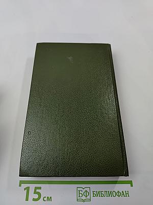 В лесах. Книга вторая