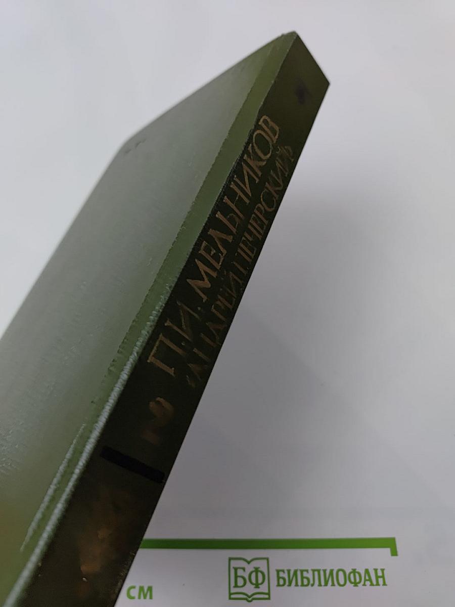 В лесах. Книга вторая