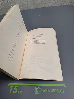 Женщины у берега Рейна