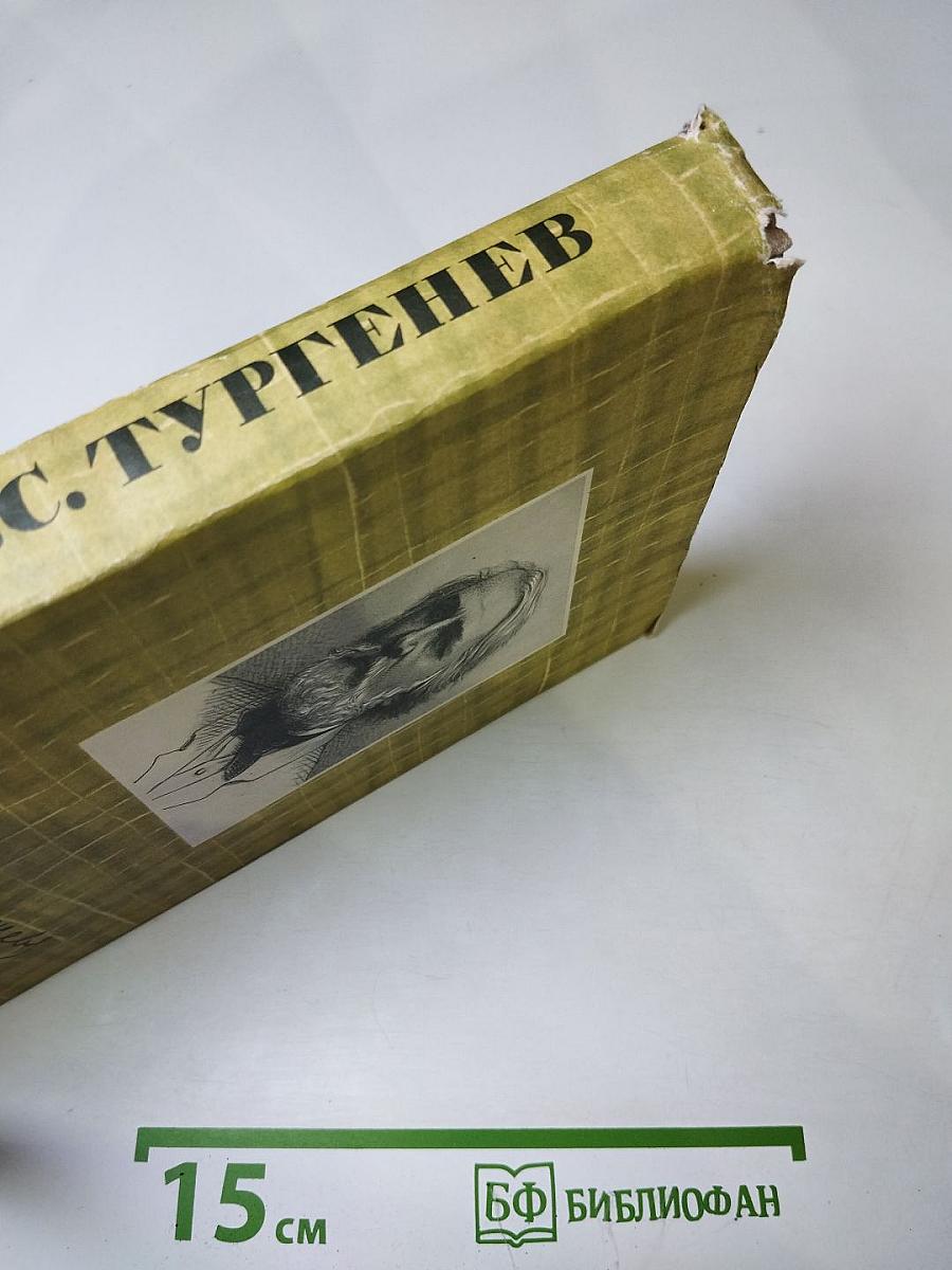 Собрание сочинений. Том четвертый. Дым. Новь