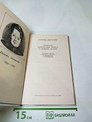 Чудесное путешествие Нильса с дикими гусями