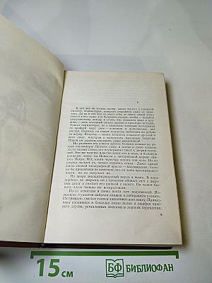 Молодость поэта