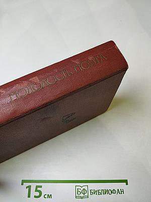 Молодость поэта