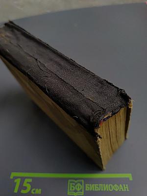 Горный ветер. Не отдавайте королеву