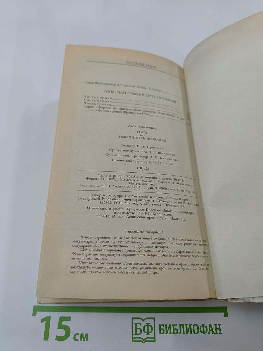 Гойя, или Тяжкий путь познания
