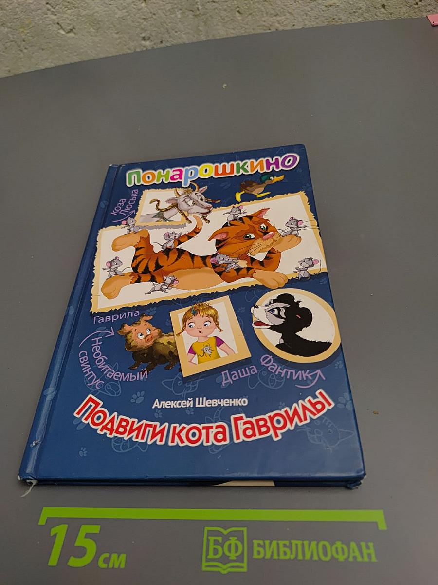 Покарошкино Подвиги кота Гаврилы