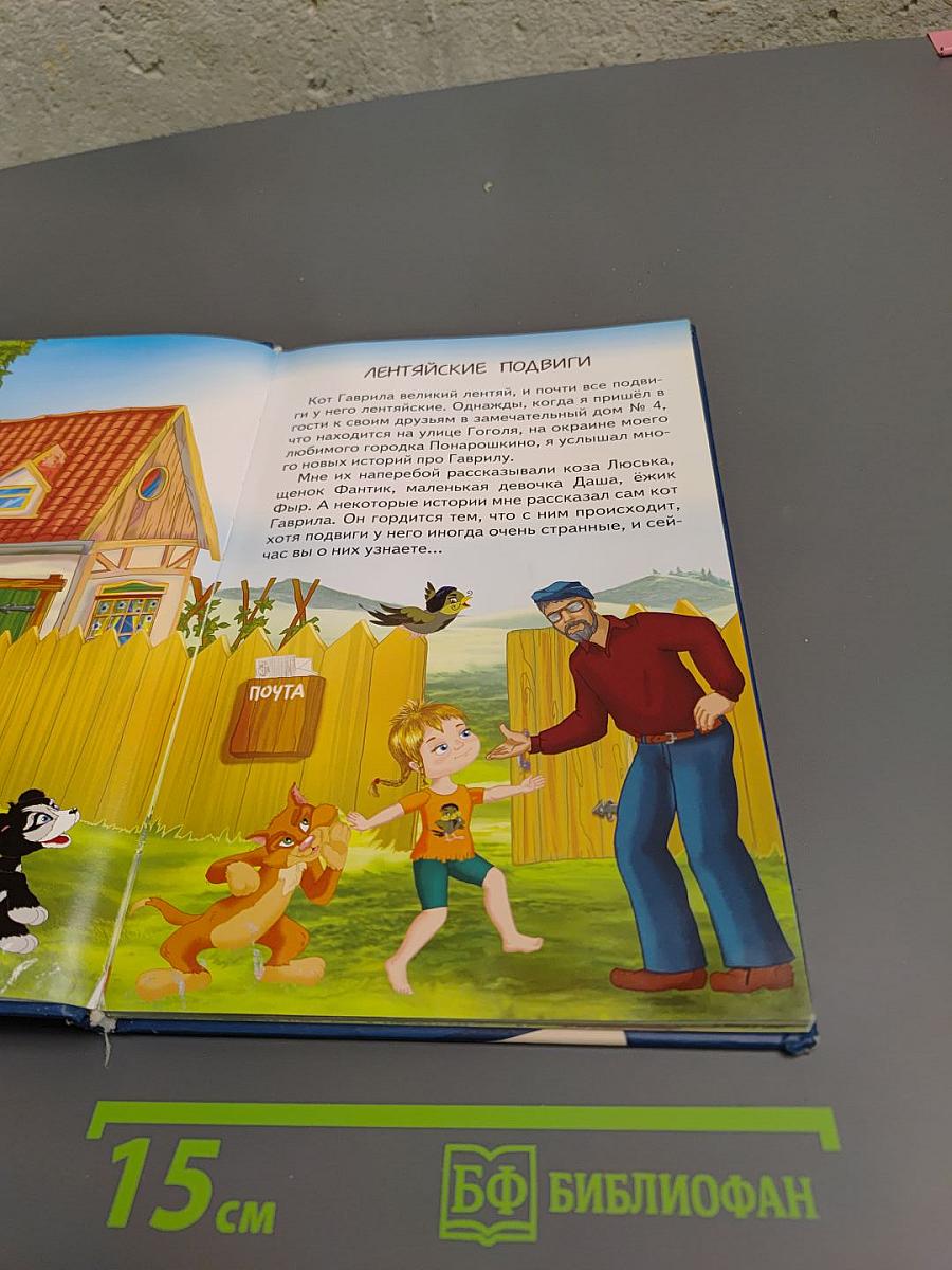 Покарошкино Подвиги кота Гаврилы