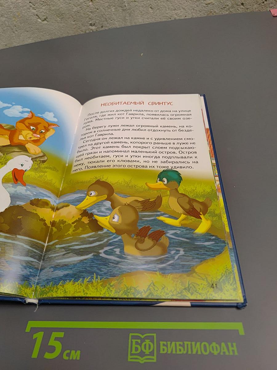 Покарошкино Подвиги кота Гаврилы