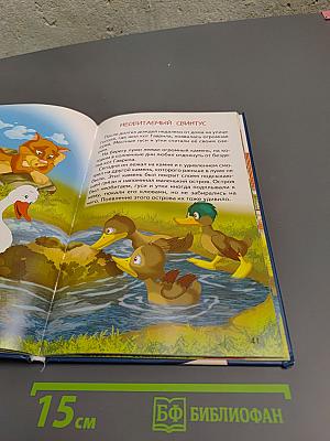 Покарошкино Подвиги кота Гаврилы