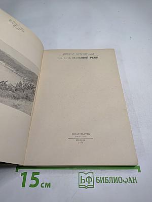 Жизнь большой реки