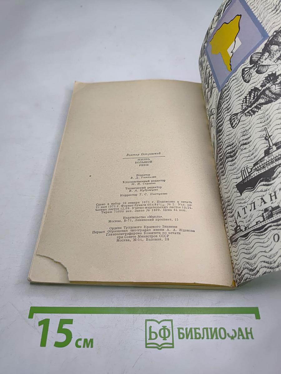 Жизнь большой реки