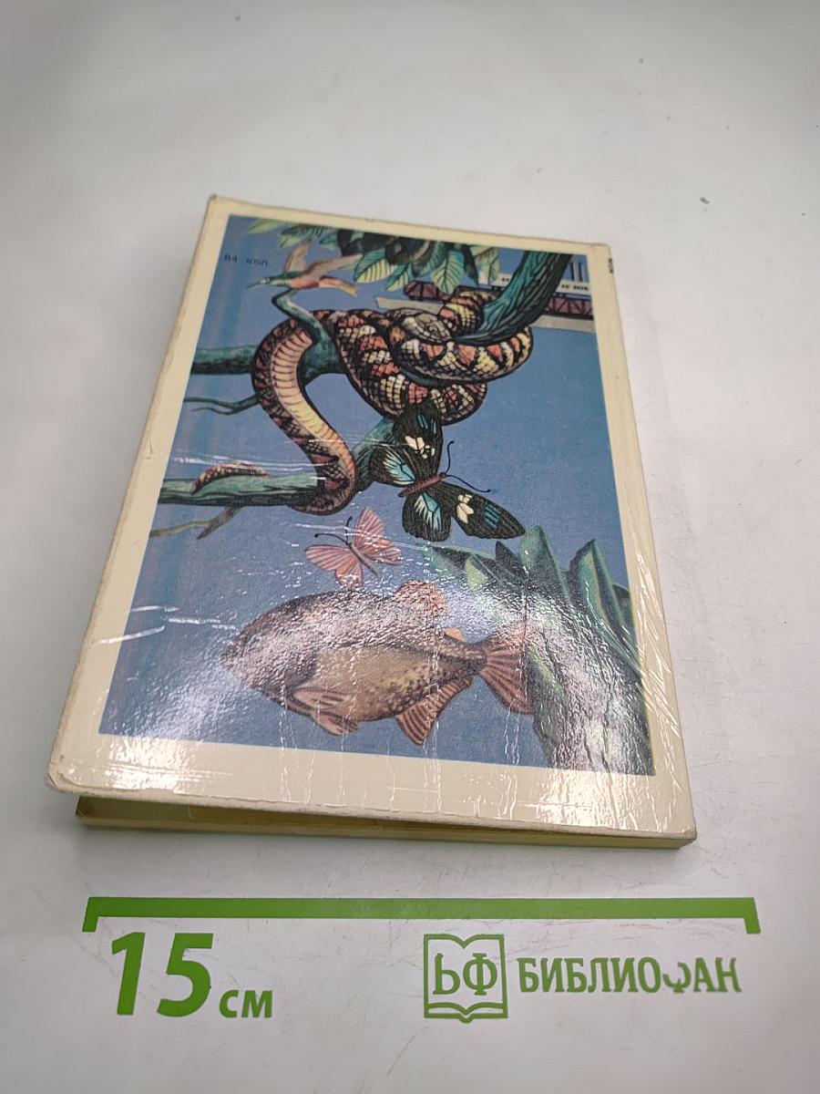 Жизнь большой реки