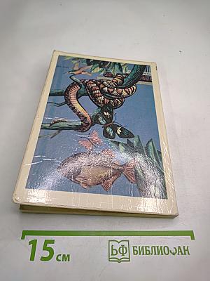 Жизнь большой реки