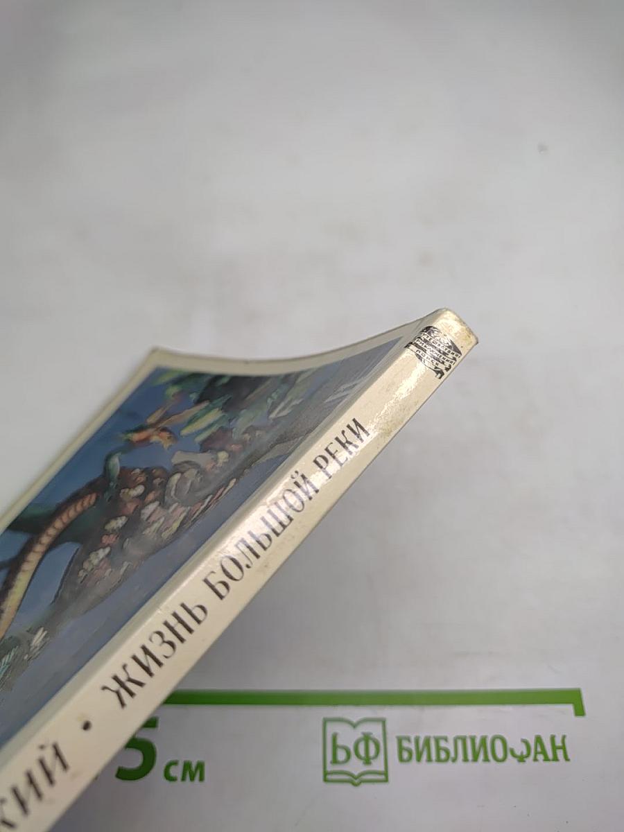 Жизнь большой реки