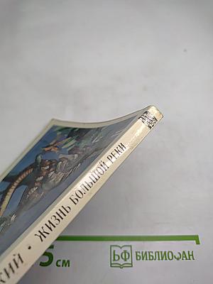 Жизнь большой реки