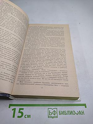 Одеты камнем. Радищев