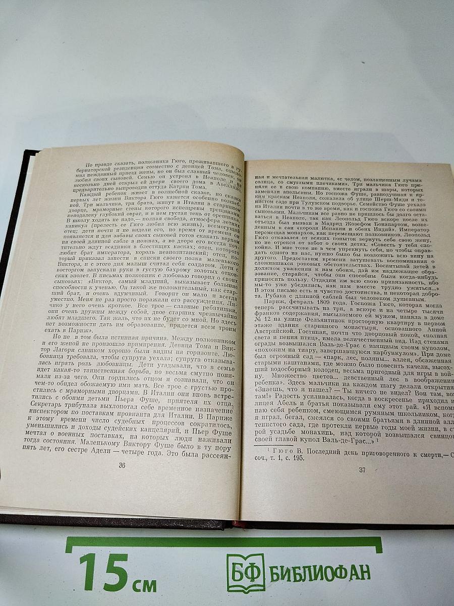 Олимпио или Жизнь Виктора Гюго