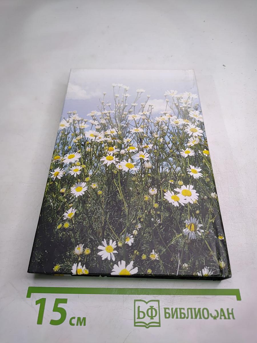 Дыхание любви